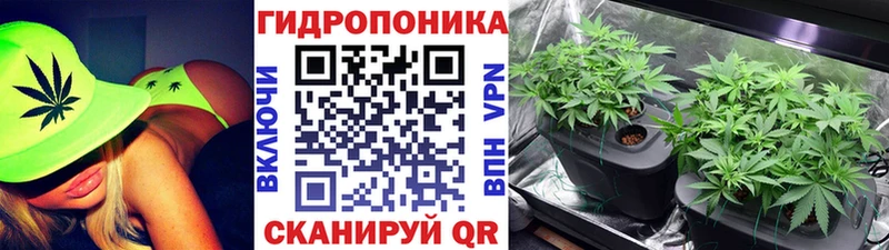 Каннабис конопля  дарнет шоп  Дербент 